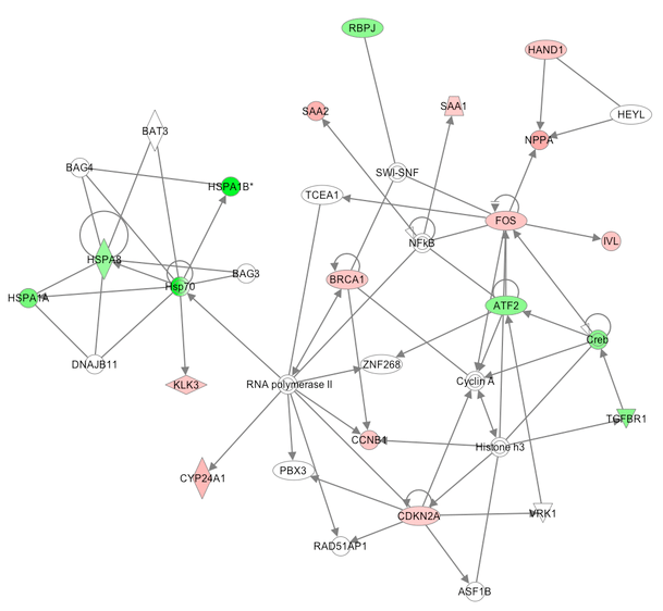 from-wikiwand-complex-system-ww1-aircraft-systems-thinking-cognitive