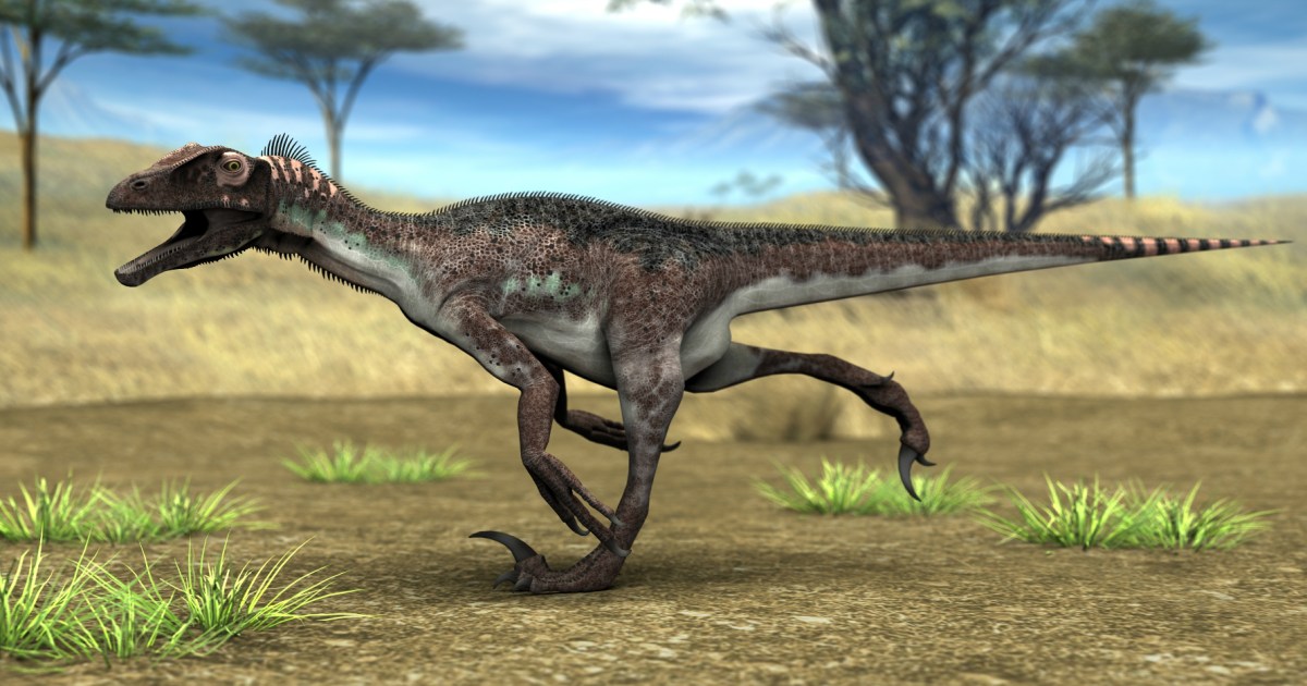 Paleontologists Seek Answers From Dinosaur Bones Found in Quicksand ...