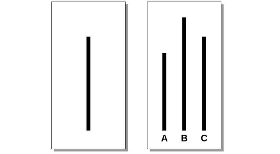 The 'worm' with the potential to determine elections by manipulating ...