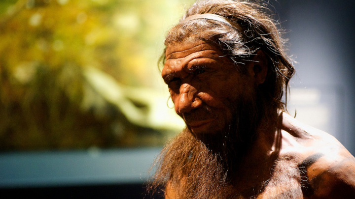 A Cave in France Changes What We Thought We Knew About Neanderthals ...