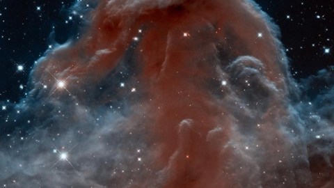 Astronomy's dark horse lit up by Hubble - Big Think