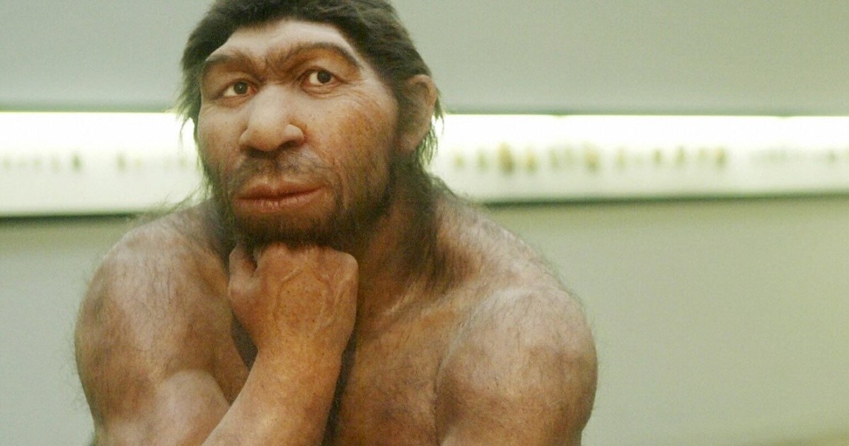 A Single Neanderthal Gene Differentiates African from European Immune ...