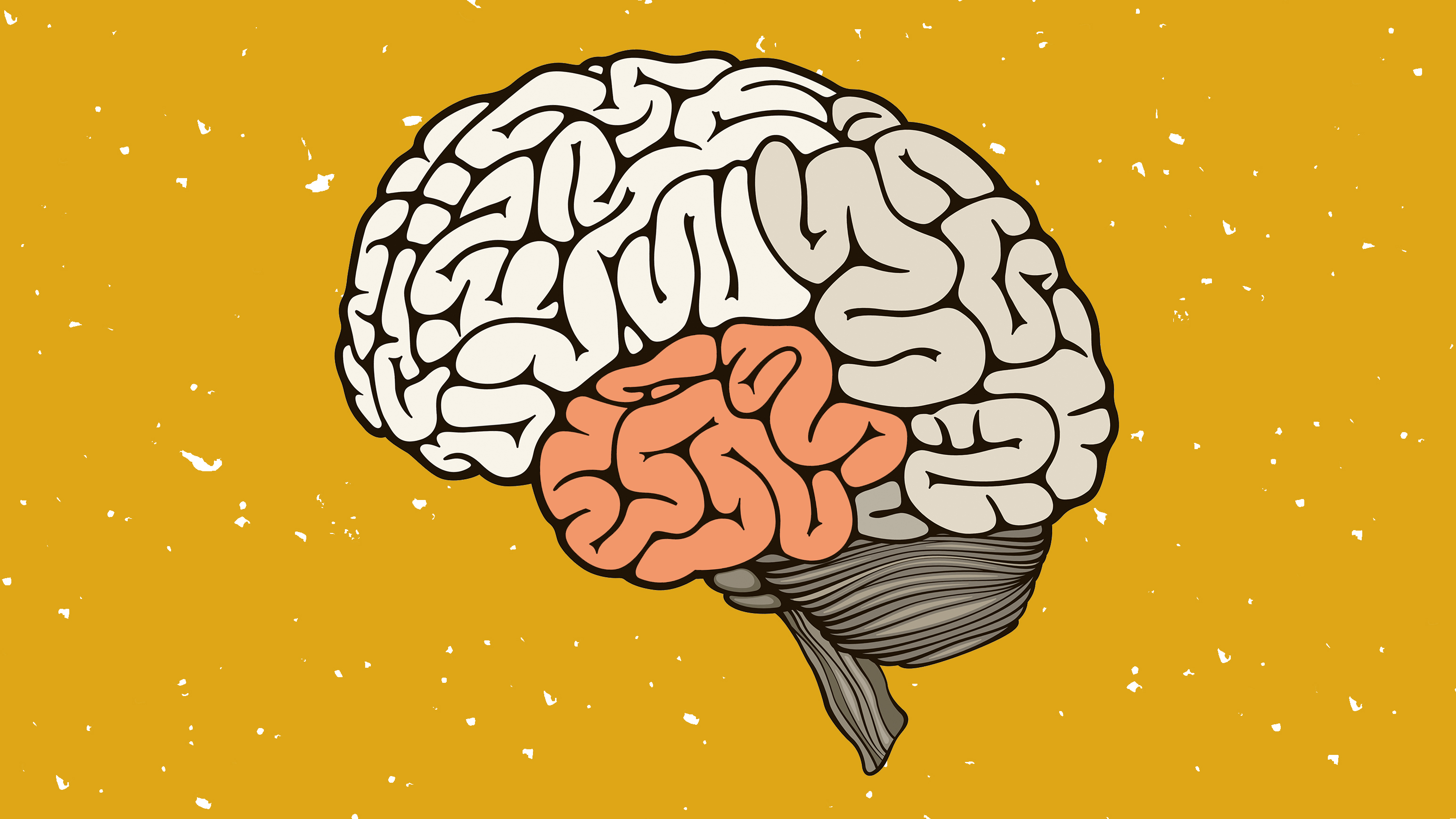 Видео про мозги. Мозг рисунок. Мозг снадпьсбю. Мозг картинка.