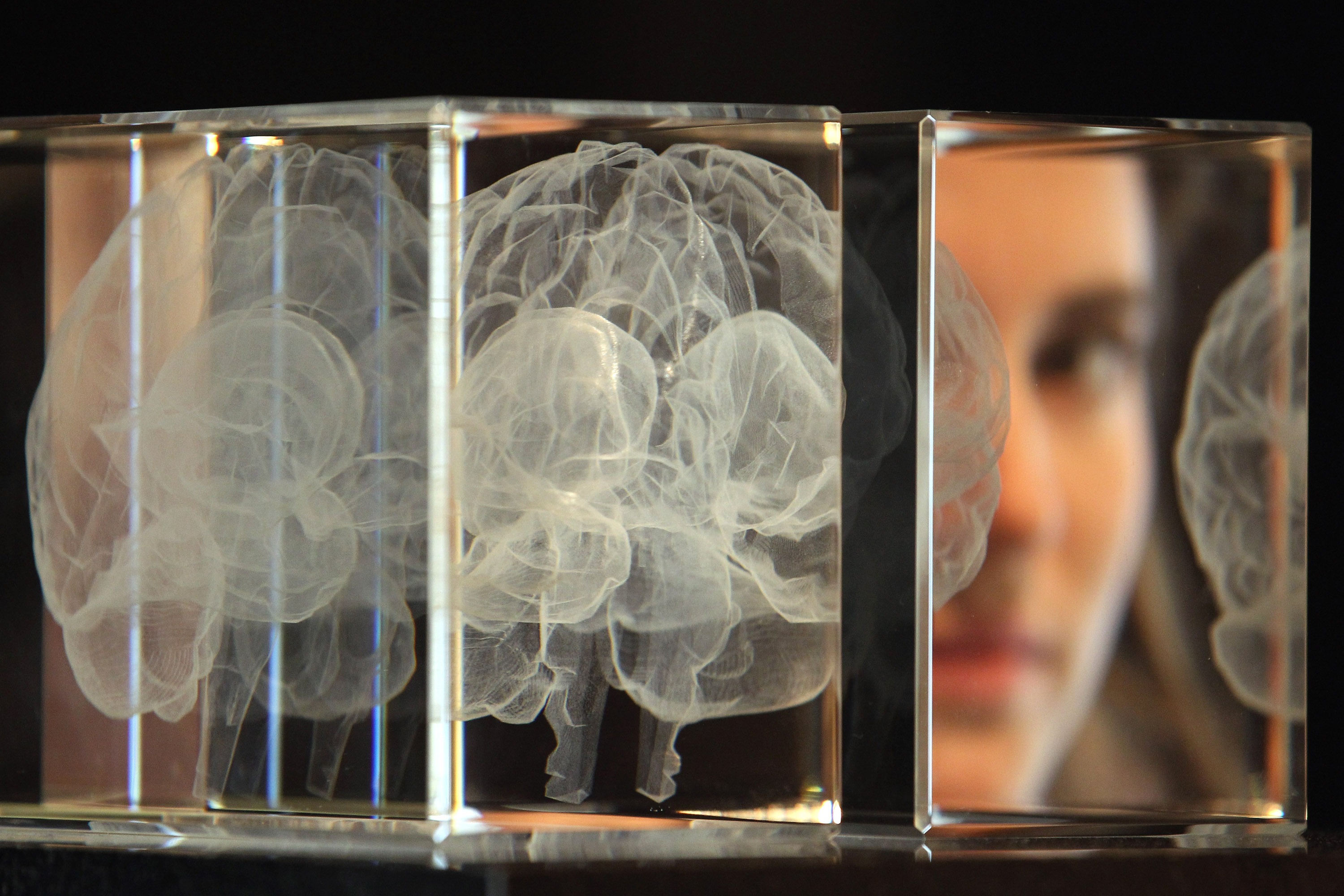 Does the Human Brain Operate Outside of the Laws of Physics? - Big Think