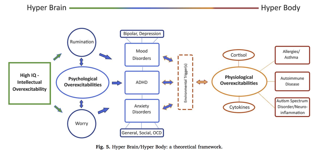 Hyper Brain / Hyper Body - theoretical framework