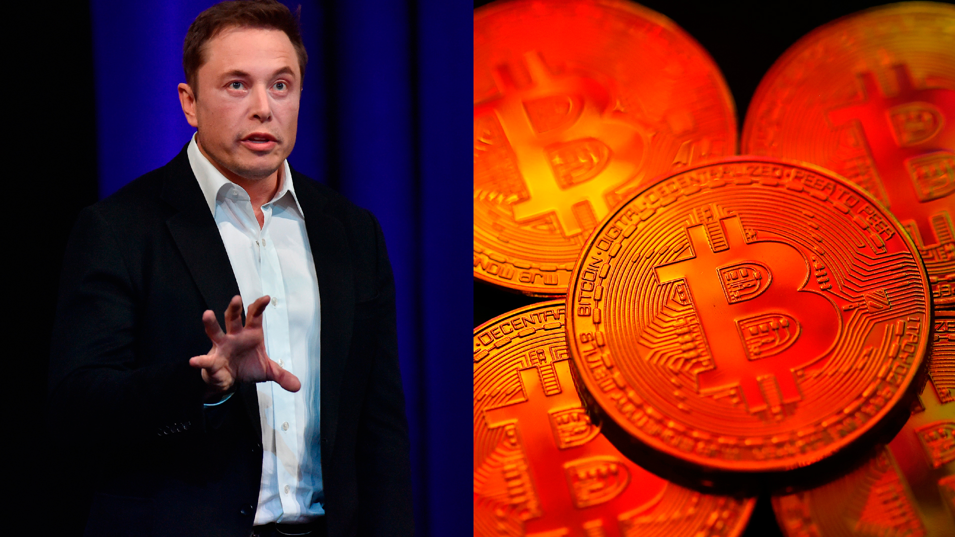 did elon musk invent bitcoin