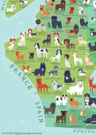 Over 40% of the world's dog breeds come from these 3 countries - Big Think