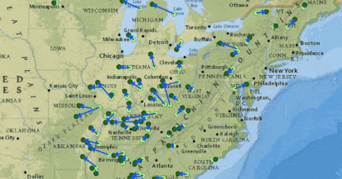 Grow West: The Mystery Of America's Migrating Trees - Big Think