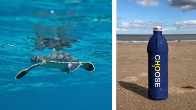 This new biodegradable plastic-free water bottle degrades in just three  weeks