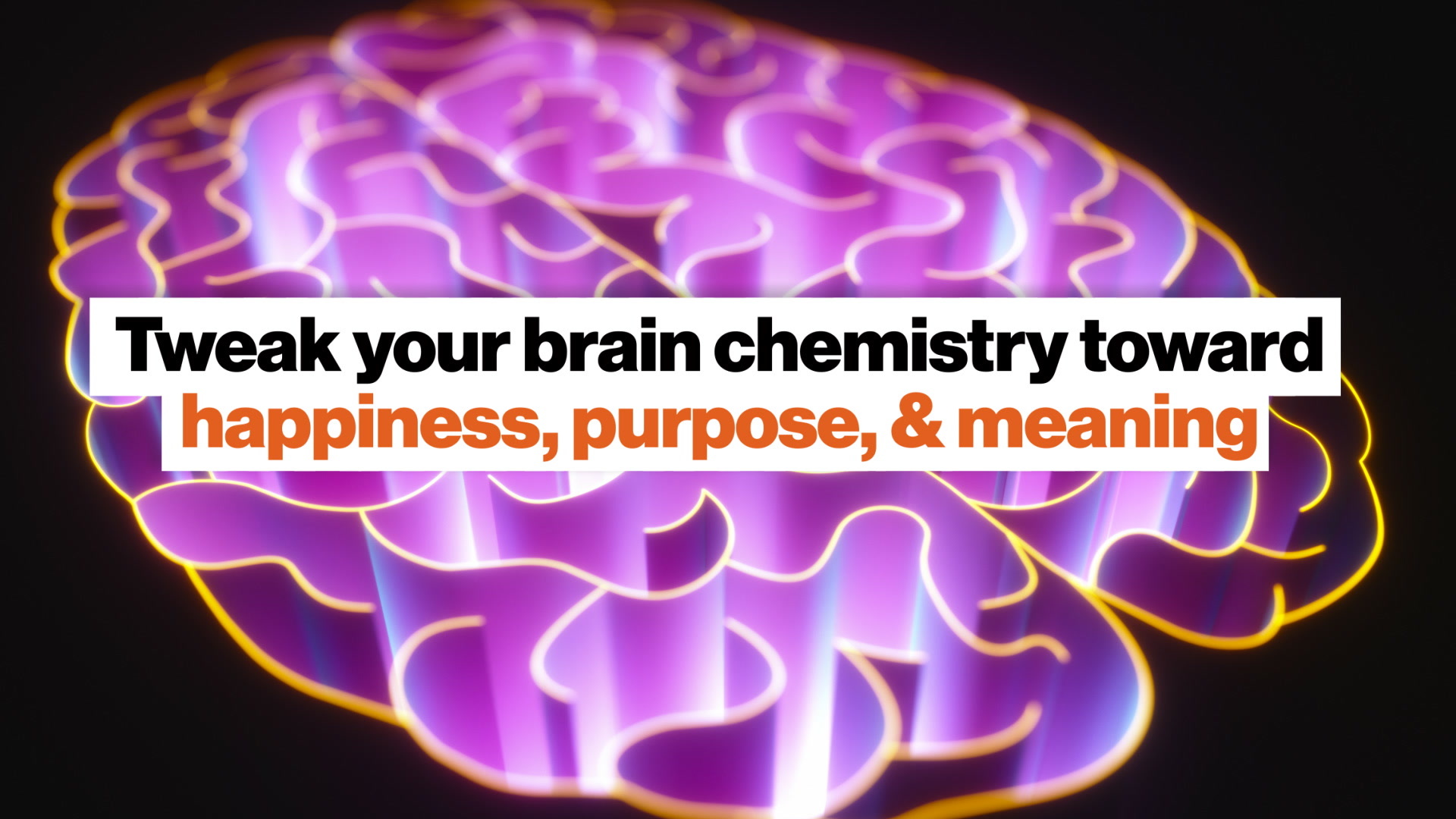 tweak-your-brain-chemistry-toward-happiness-purpose-meaning-big-think