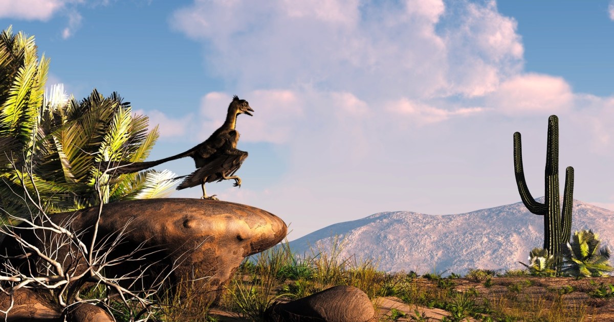 Archaeopteryx was likely source of iconic fossil feather, new study reveals