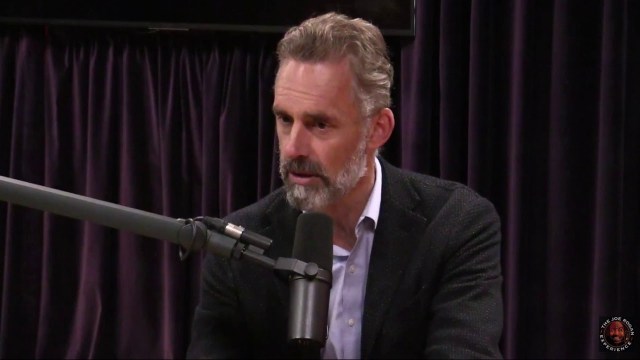 lur lugtfri etage Jordan Peterson on Joe Rogan: The gender paradox and the importance of  competition - Big Think