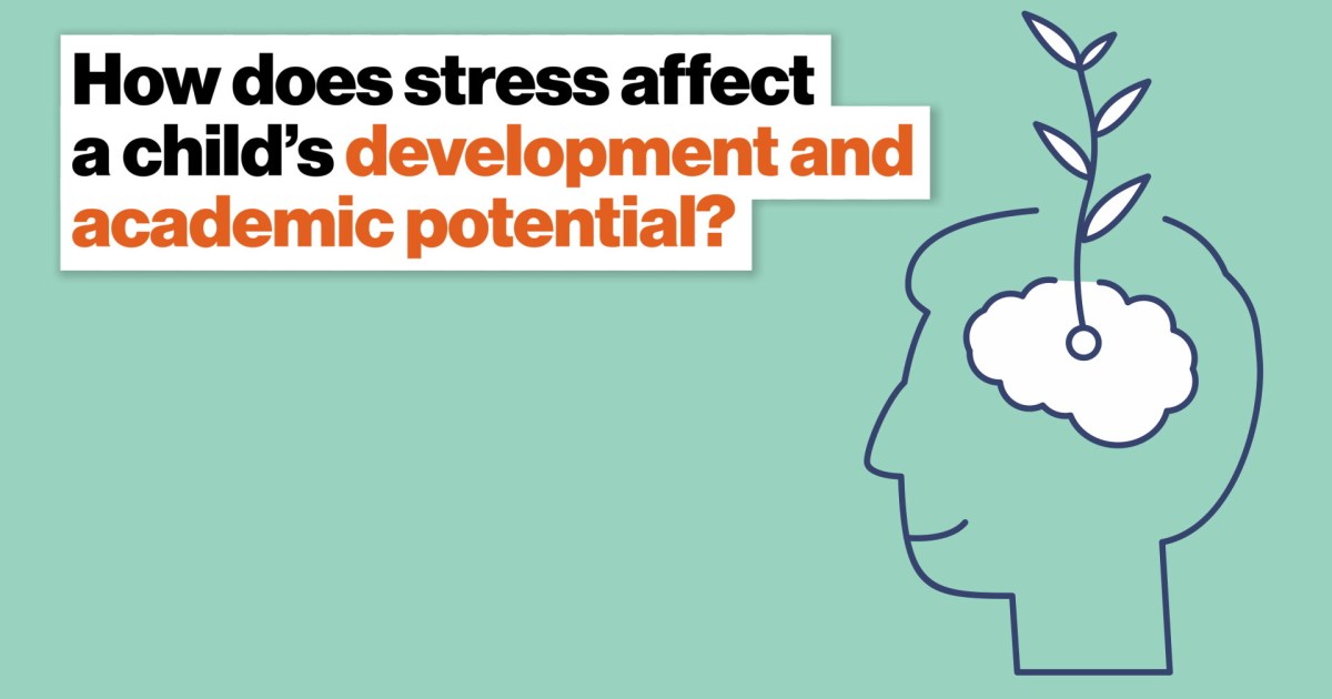 how-does-stress-affect-a-child-s-development-and-academic-potential