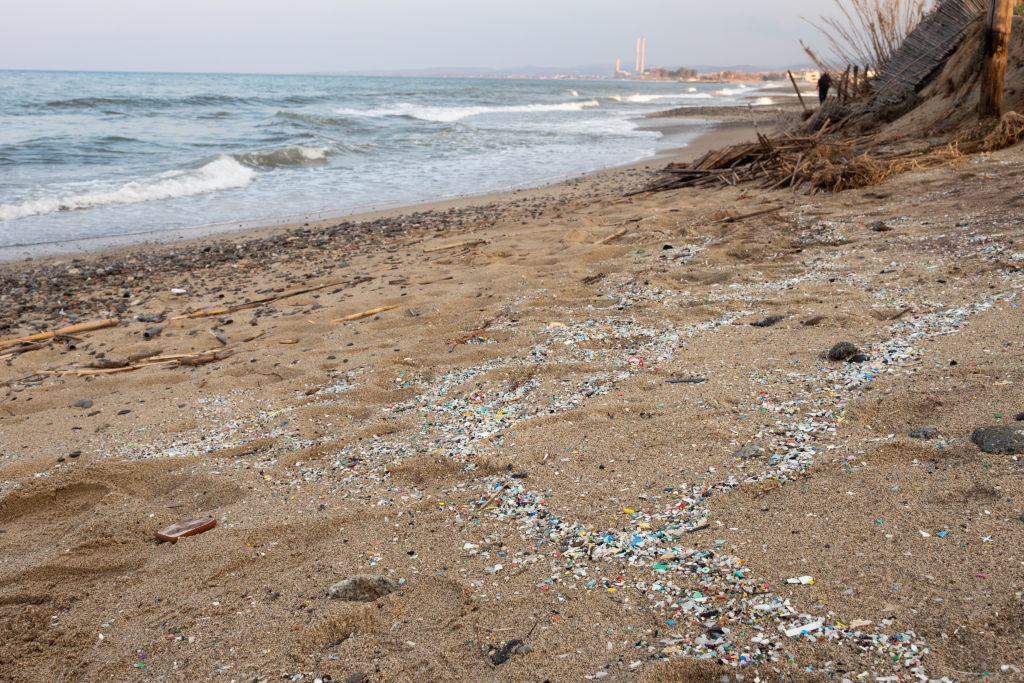 Microplastics In The Soil Point To Another Potential Ecosystem Collapse ...