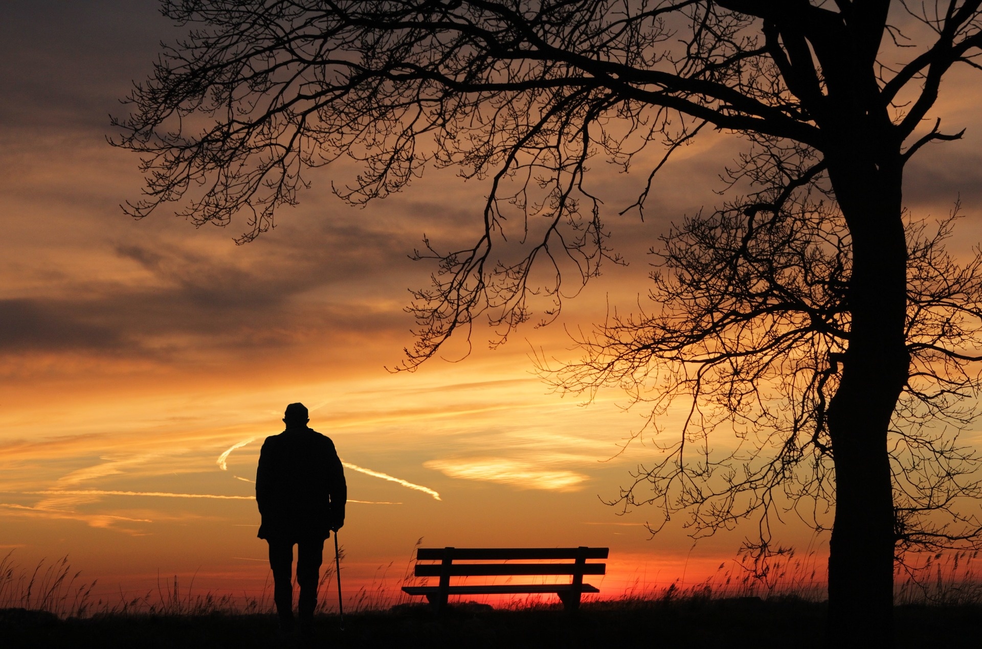 Japanese Scientists Discover Clue To Erasing Traumatic Memories Big Think