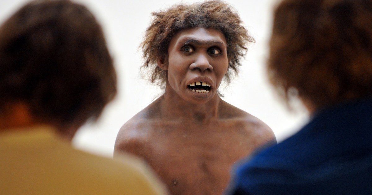 Neanderthal Bones Signs Of Their Sex Lives Big Think 6056