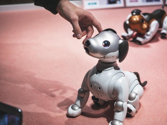Robotic Pets, Real Comfort? What the Research Says