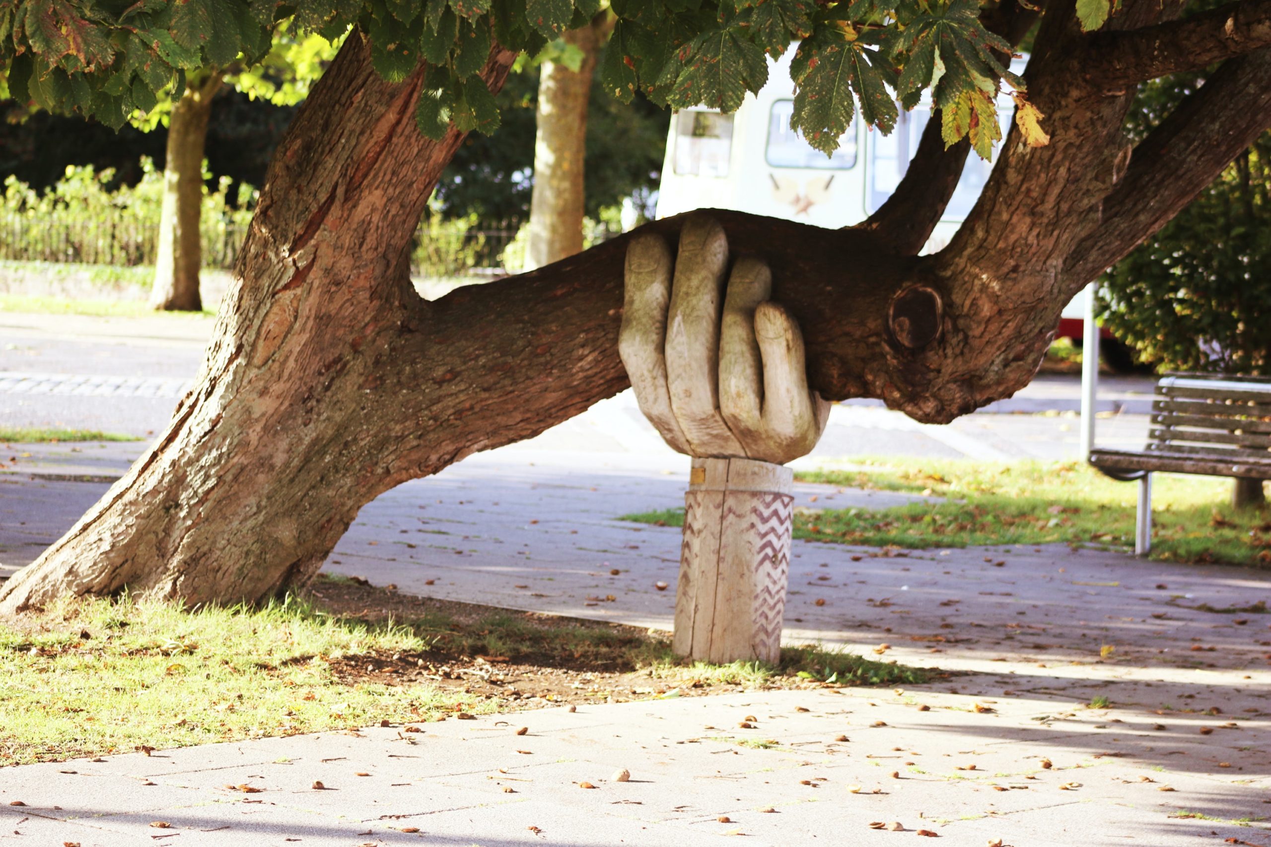 A sculpted hand keeps a leaning tree from falling over.