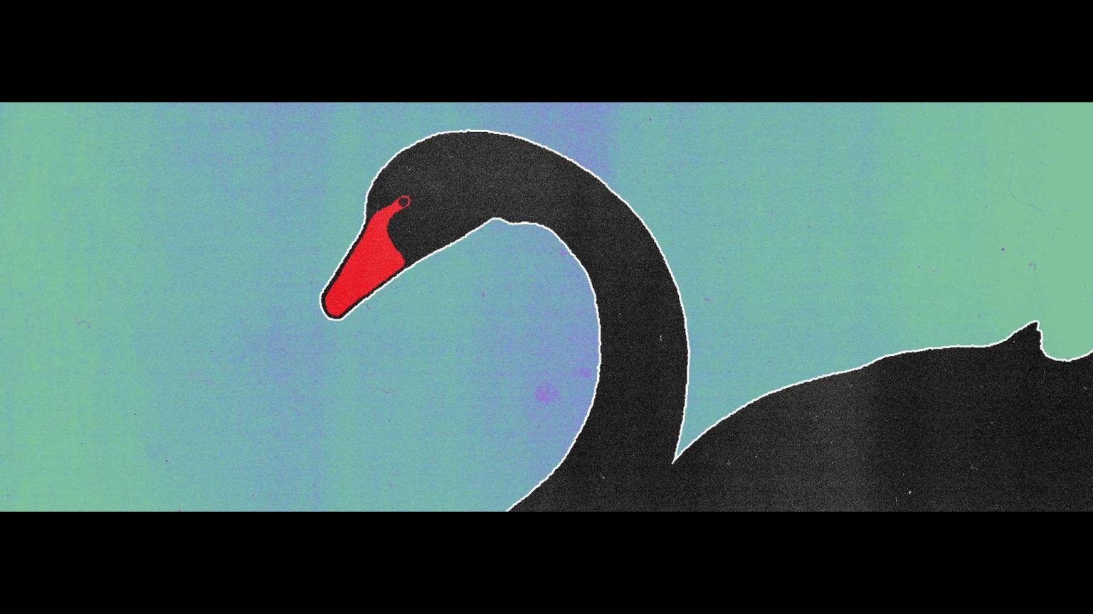 Black swans: can we learn to predict unpredictable events? Think