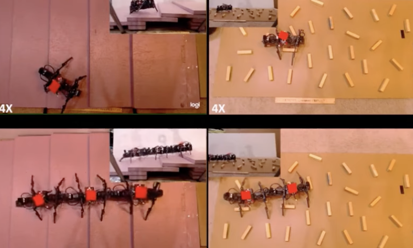 robotics: Legged robots connect, form centipede-like in new system - Big