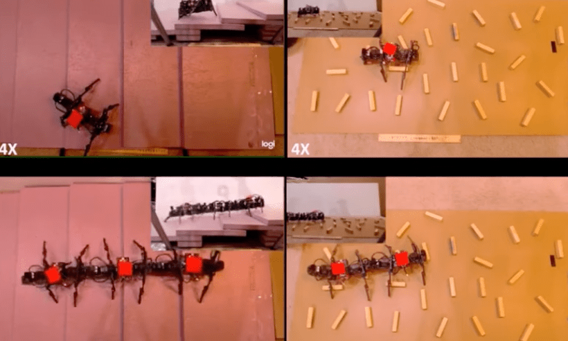 Swarm robotics