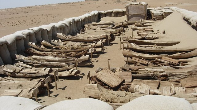 Tarim Basin mummies