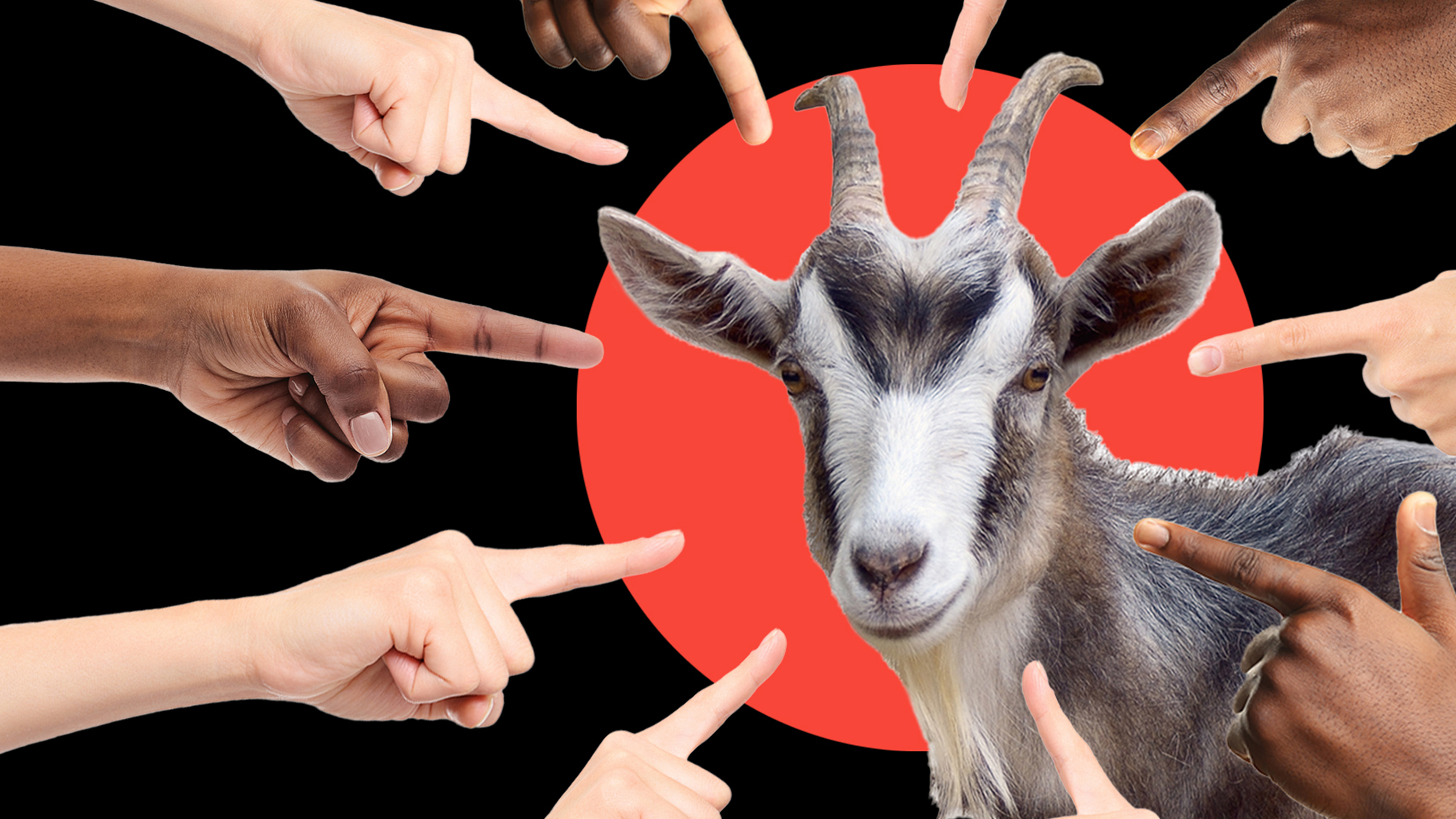 Everyone pointing fingers at a goat