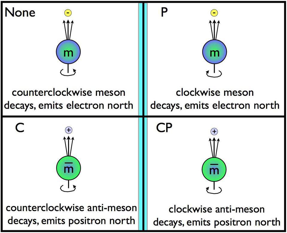 CP violation expected muons