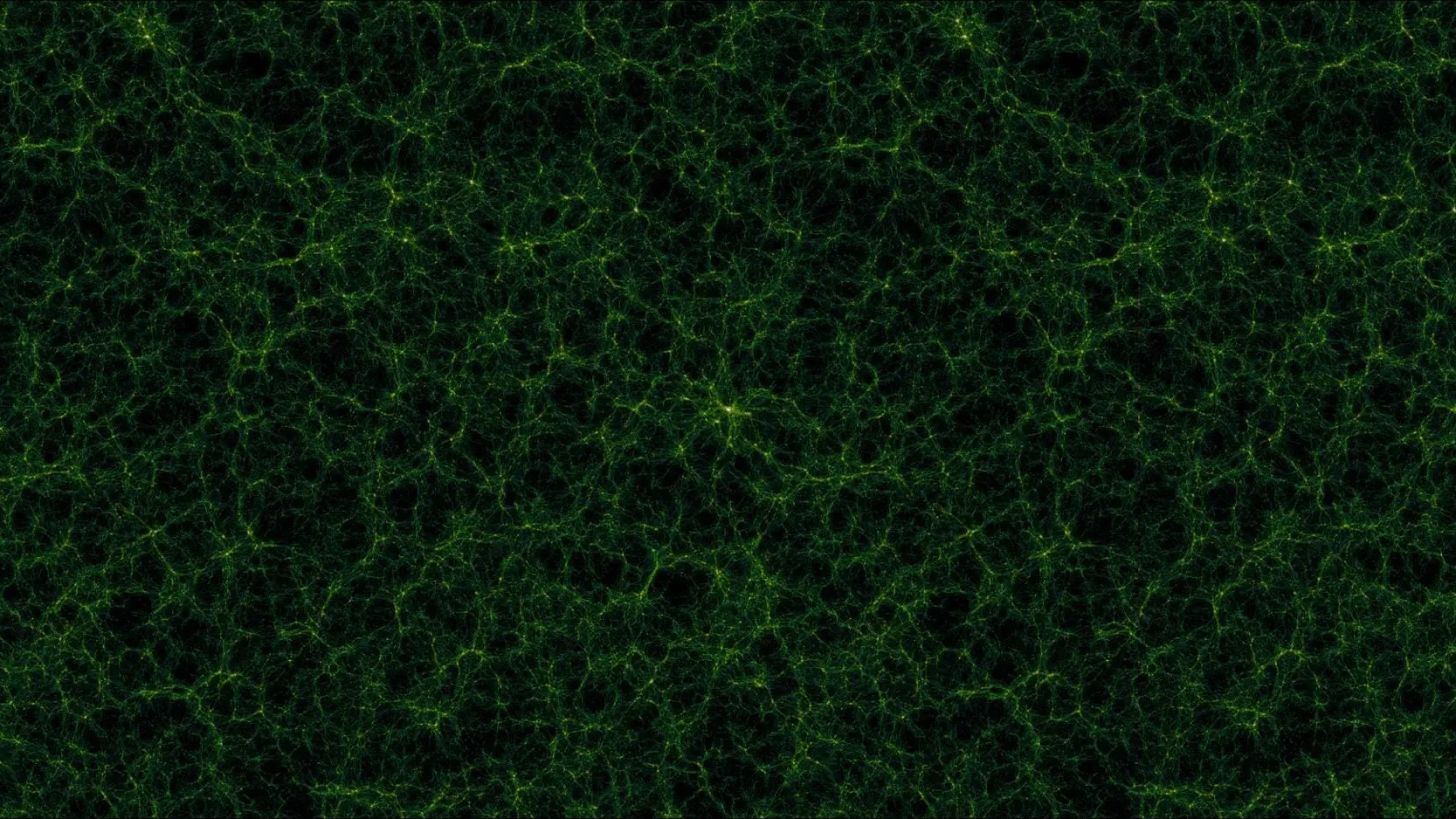 An abstract green fractal pattern resembling interconnected neural pathways on a black background evokes the complexity of a fractal universe.