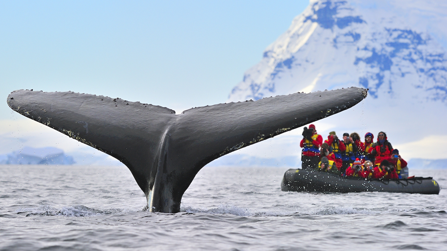 Antarctica