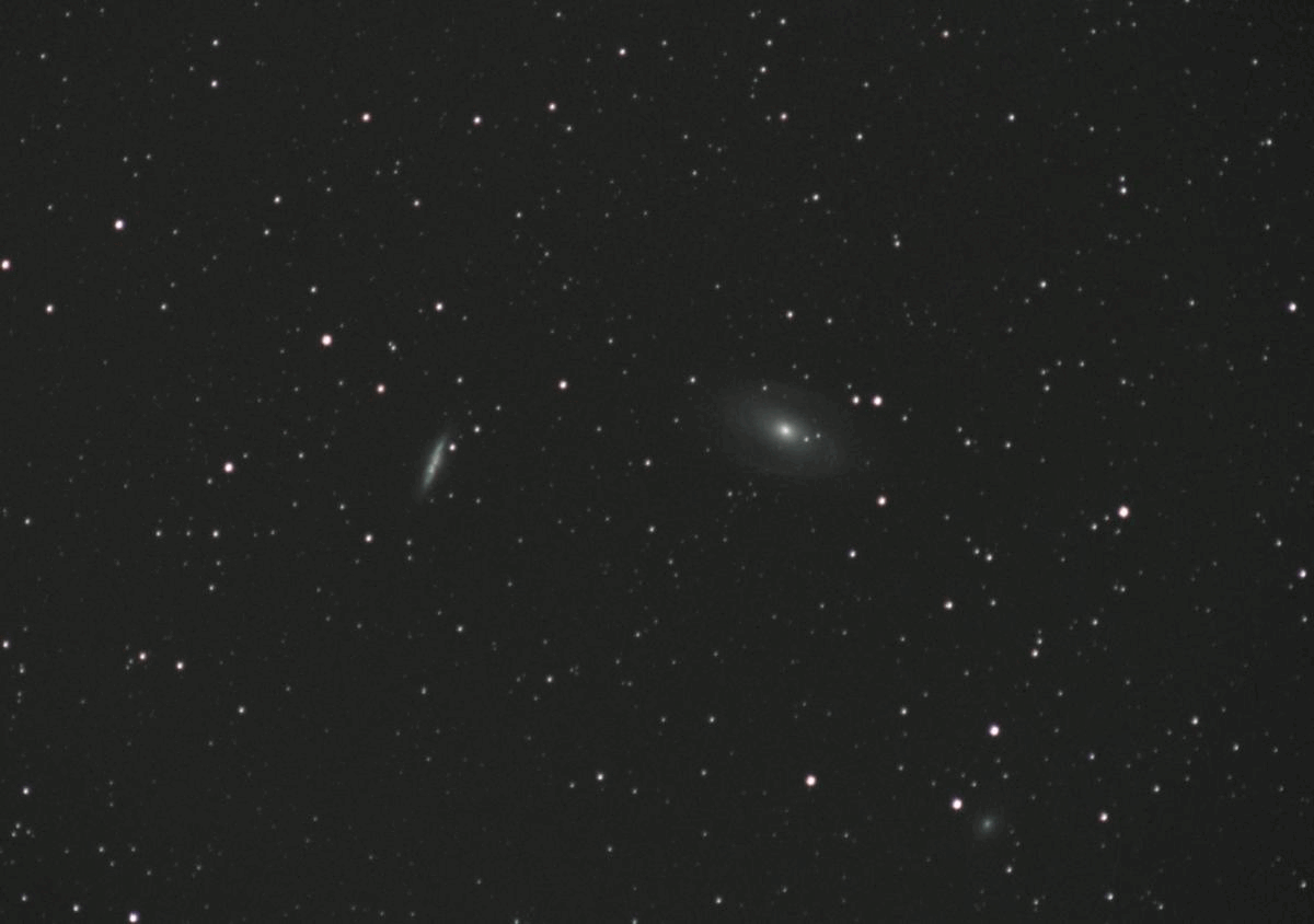 M81 group