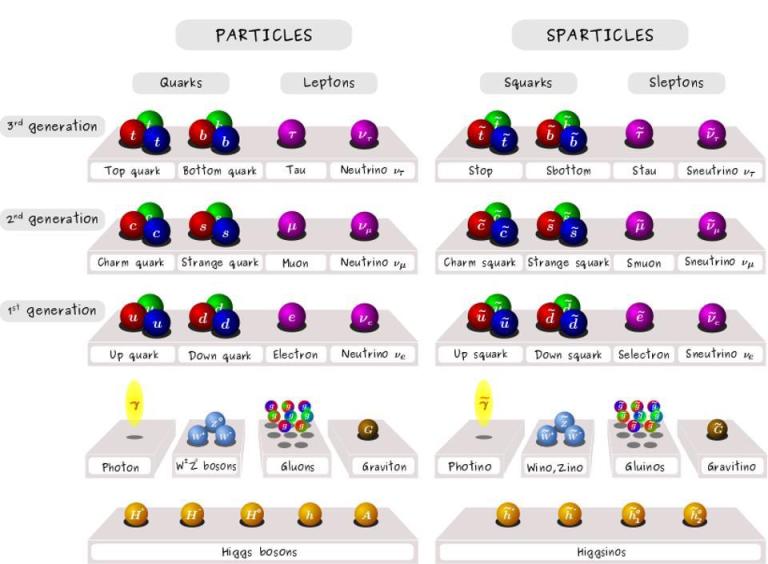 The Standard Model particles and their supersymmetric counterparts.