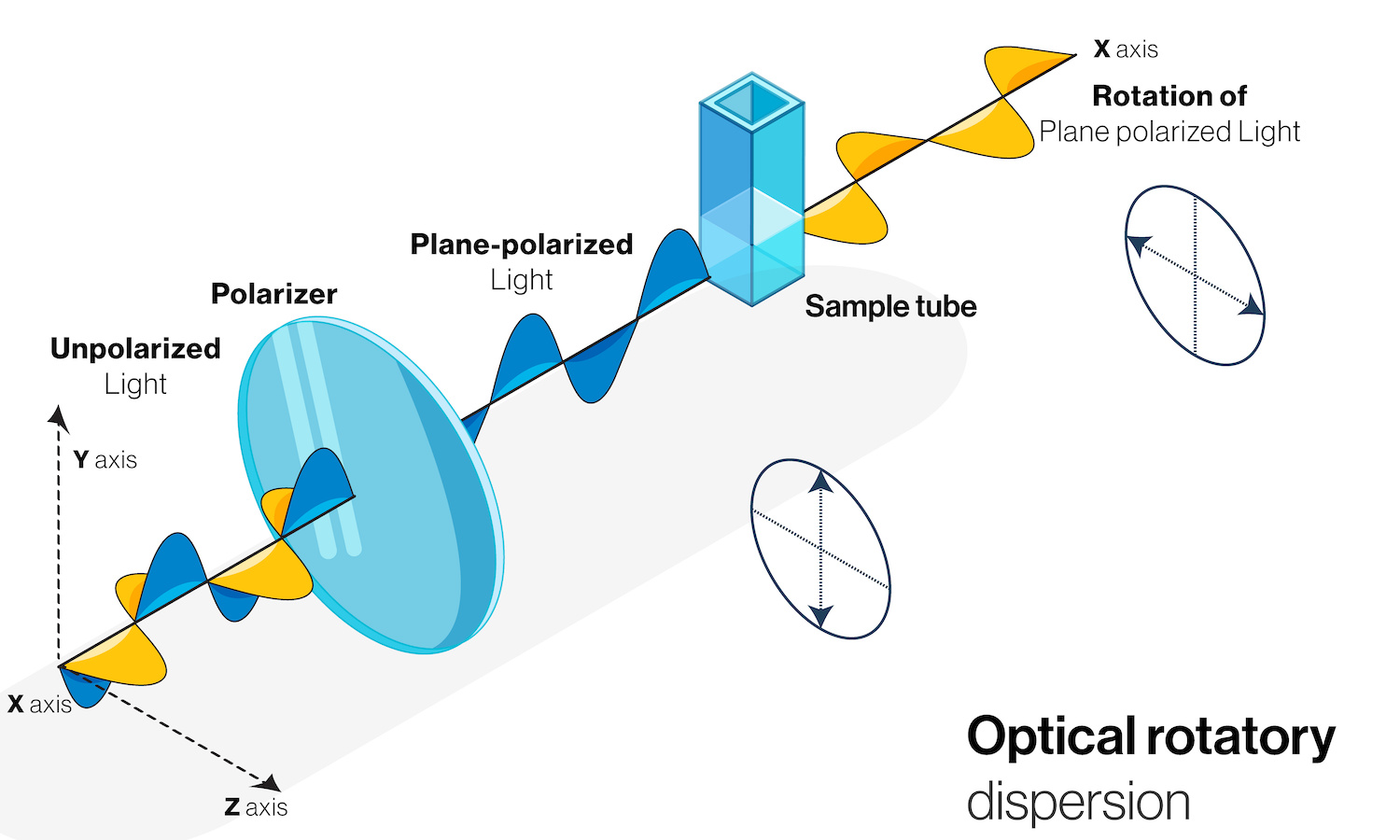 plane polarized light