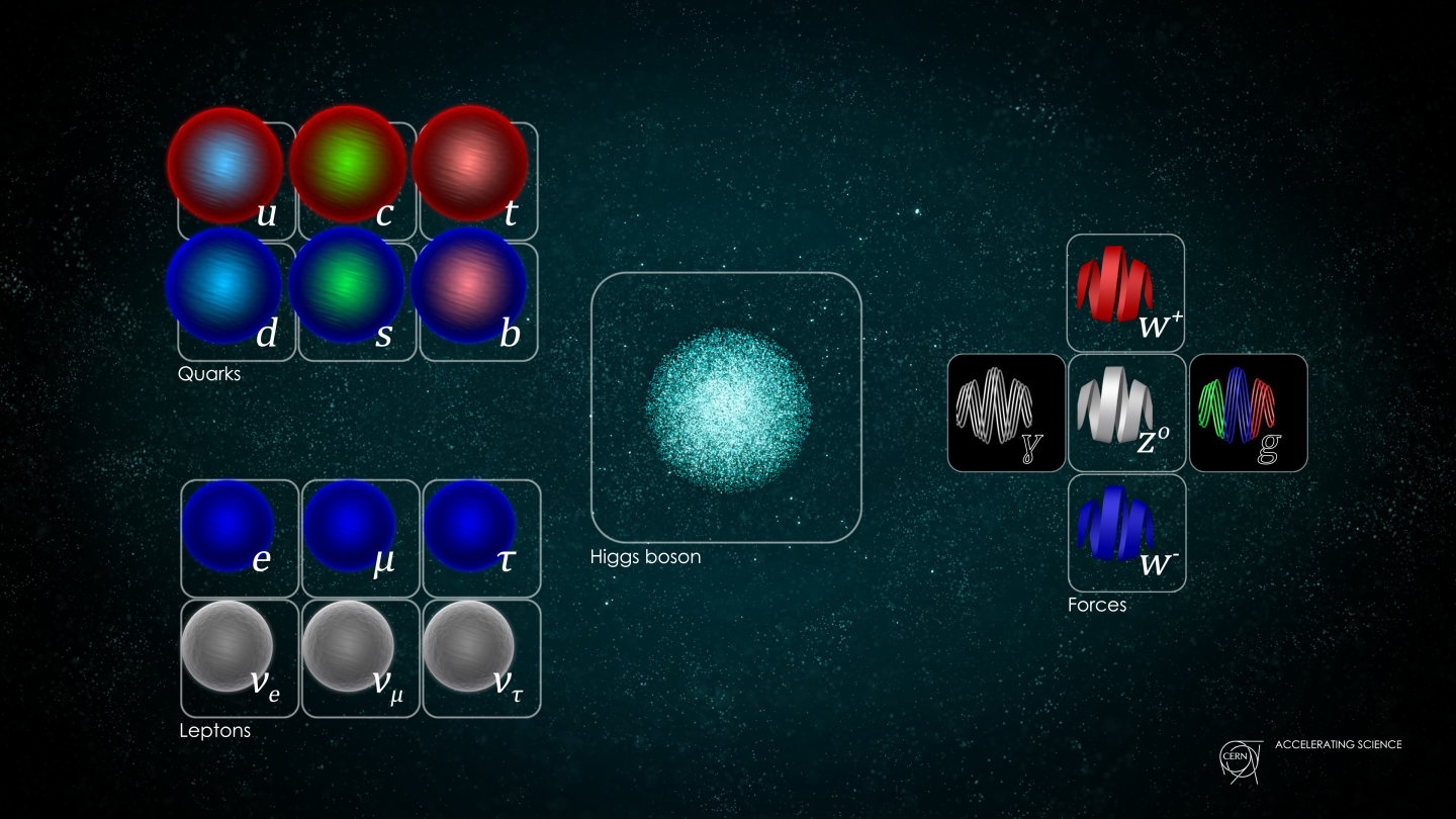 standard model structure