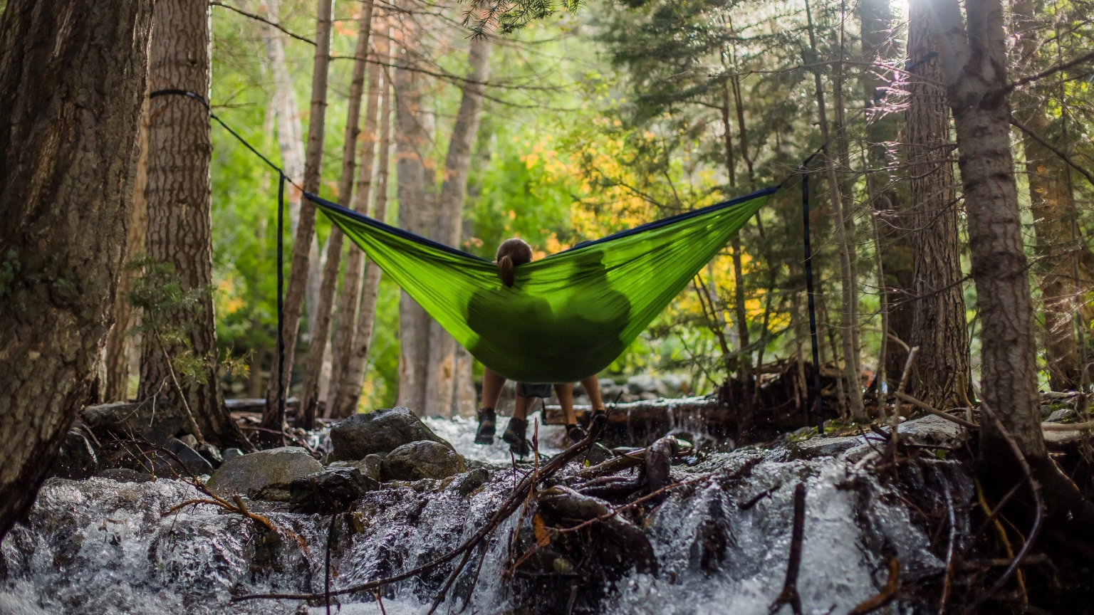 A couple sits together in a hammock.