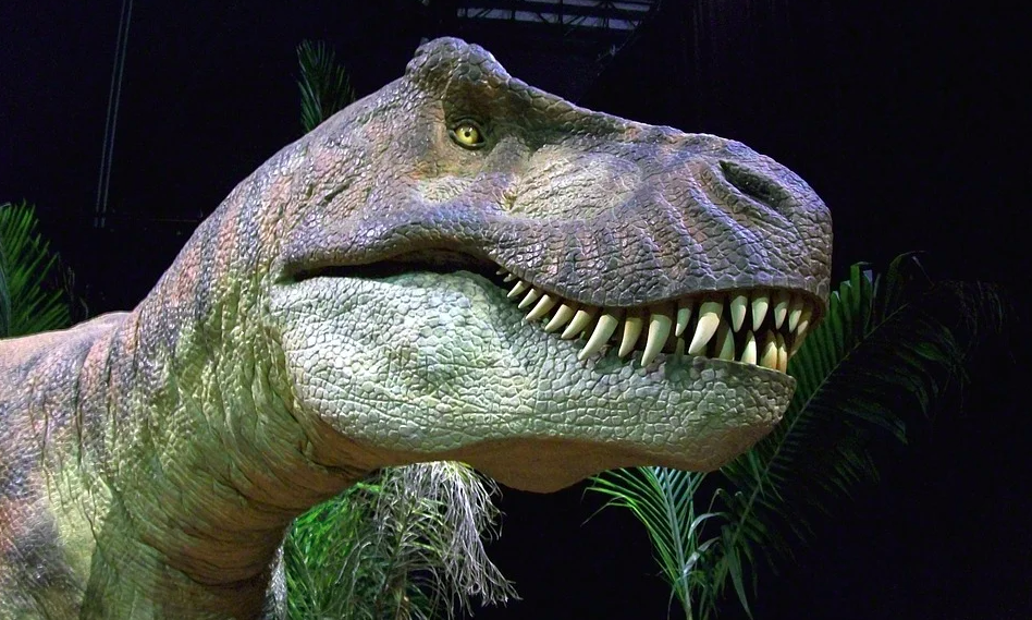 Tyrannosaurus rex might be three different species - Big Think