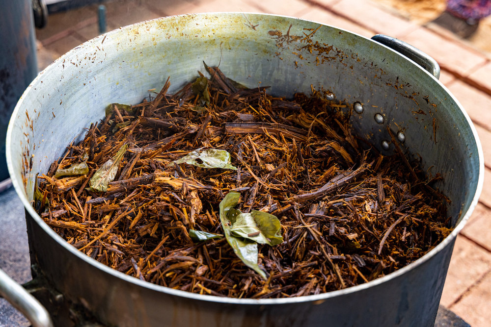 ayahuasca celebration packers