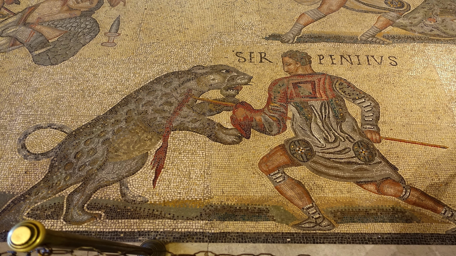 Ancient Romans had a strange relationship with exotic animals - Big Think