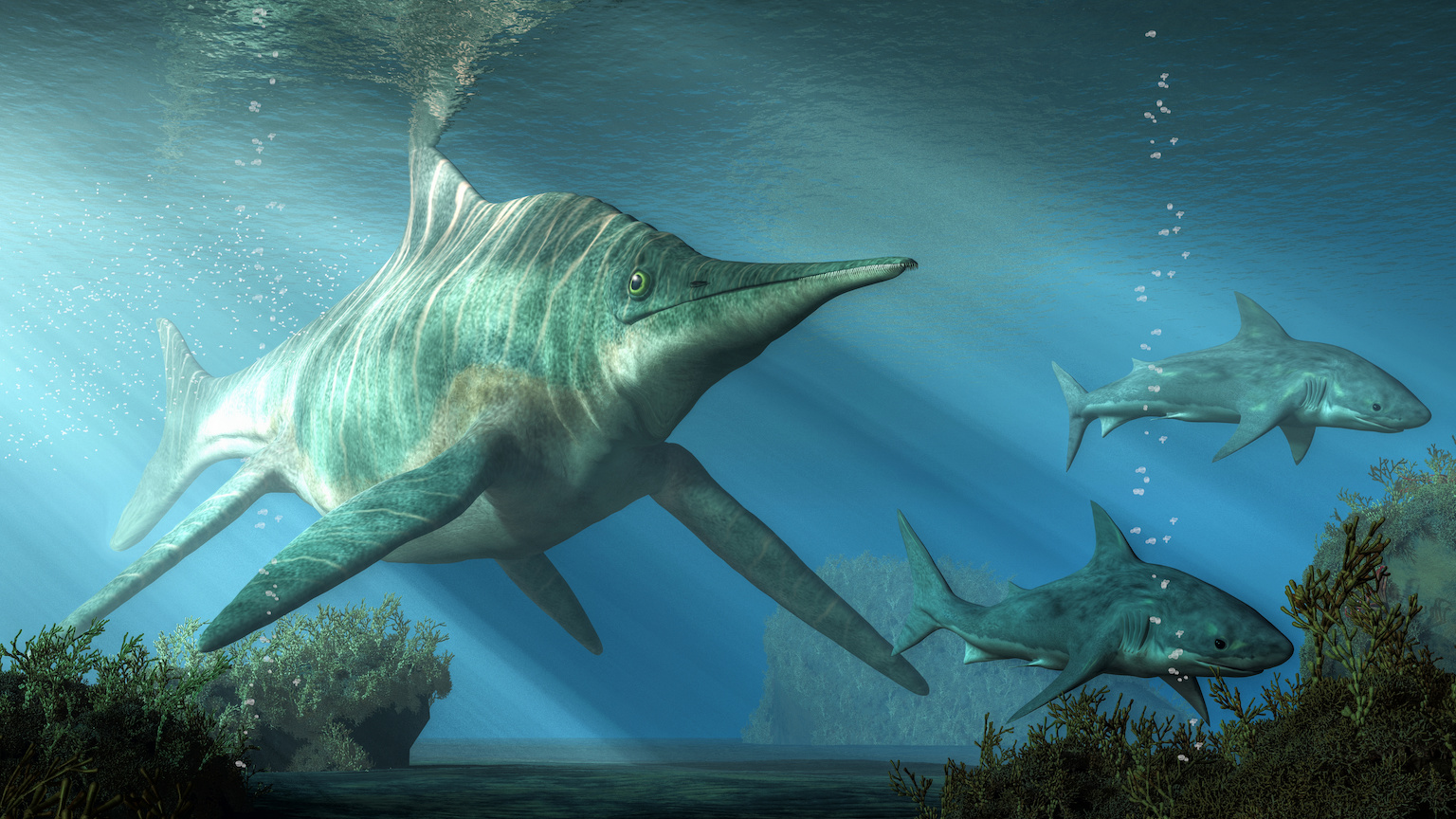 Ichthyosaurs were no gentle giants - Big Think