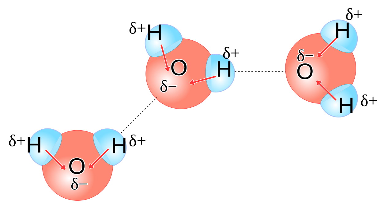 Sodium and water react, and quantum physics explains why - Big Think