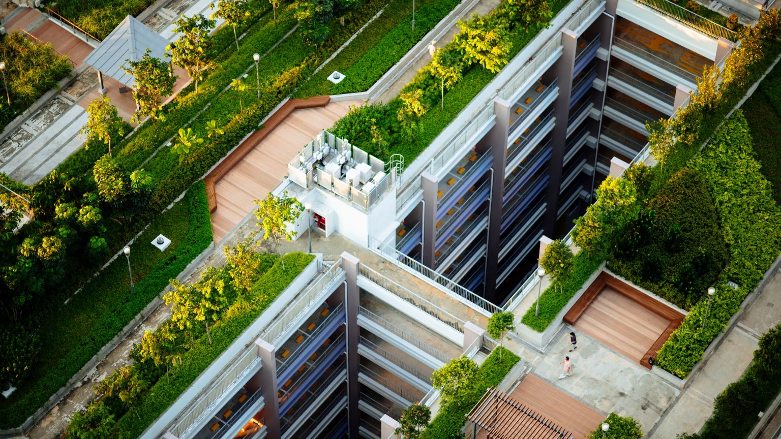 roof terrace garden