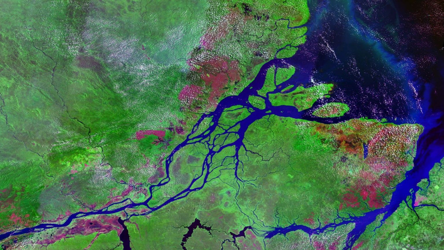 Amazon river