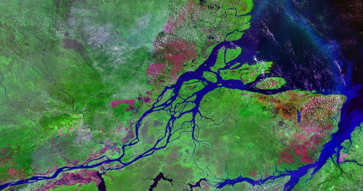 Researchers have long assumed that the Amazon river basin, which includes the modern-day countries of Peru, Colombia and Bolivia, did not become dense