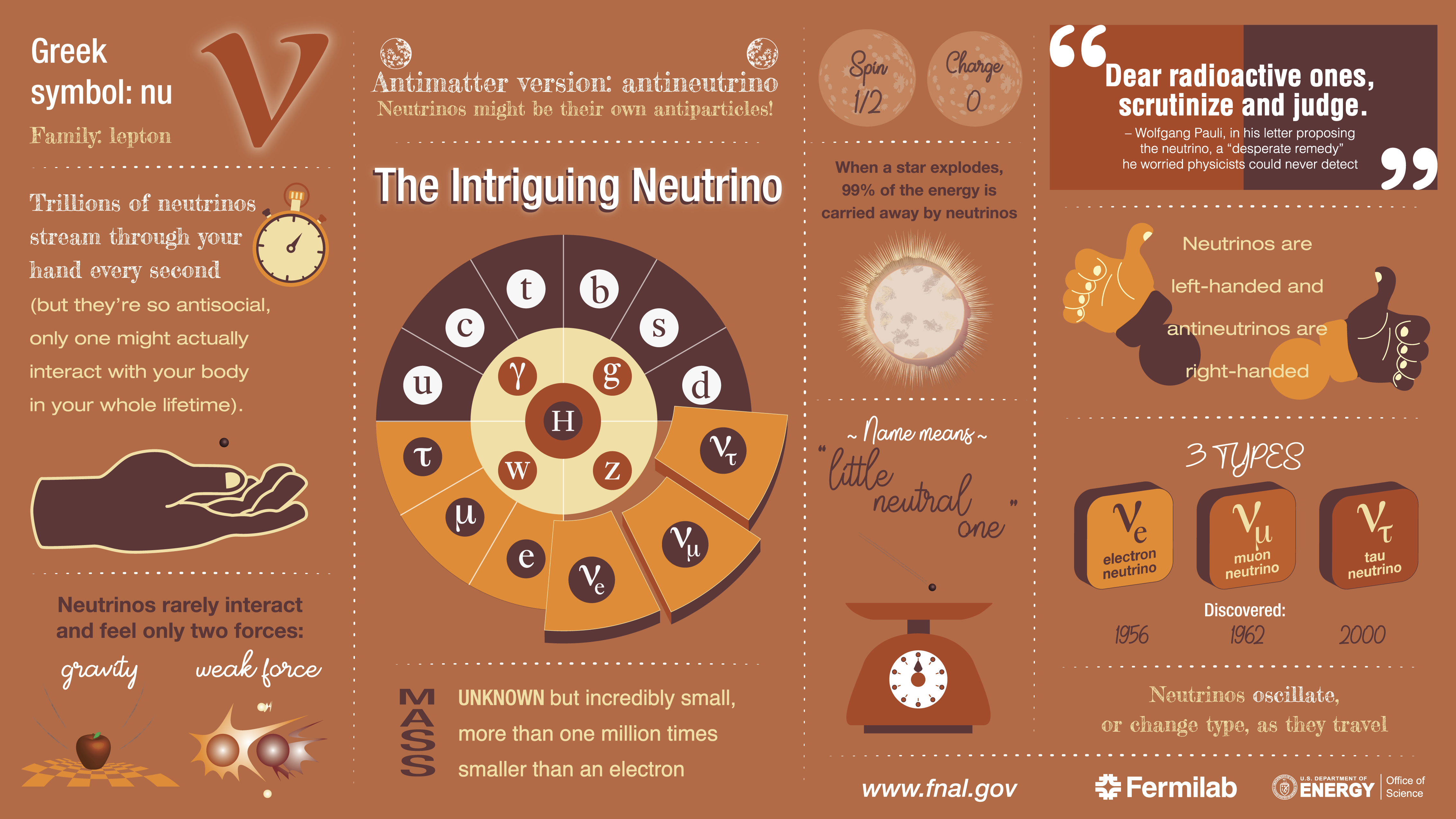 neutrino modern fun facts