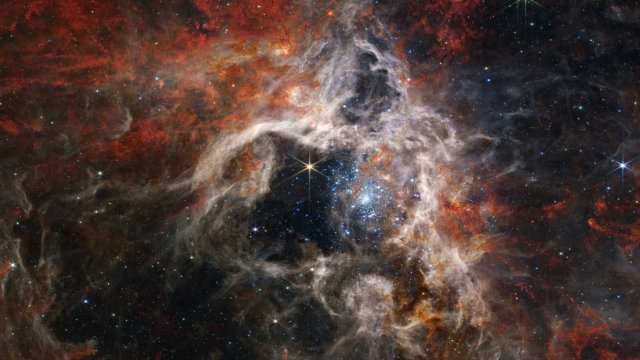 JWST NIRCam Tarantula Nebula