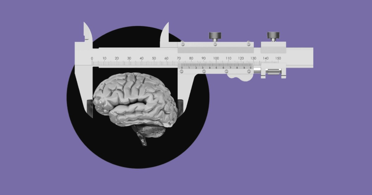 Using neuroimaging genomics to investigate the evolution of human brain  structure