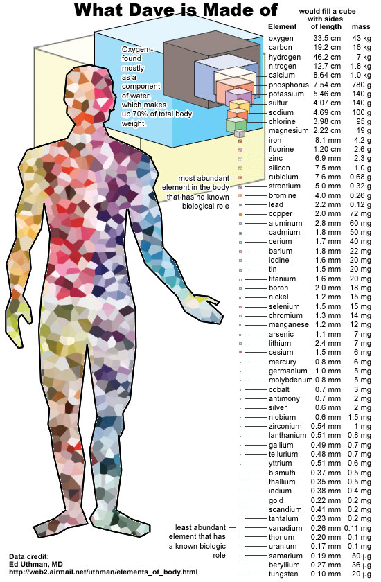 atom composition human body