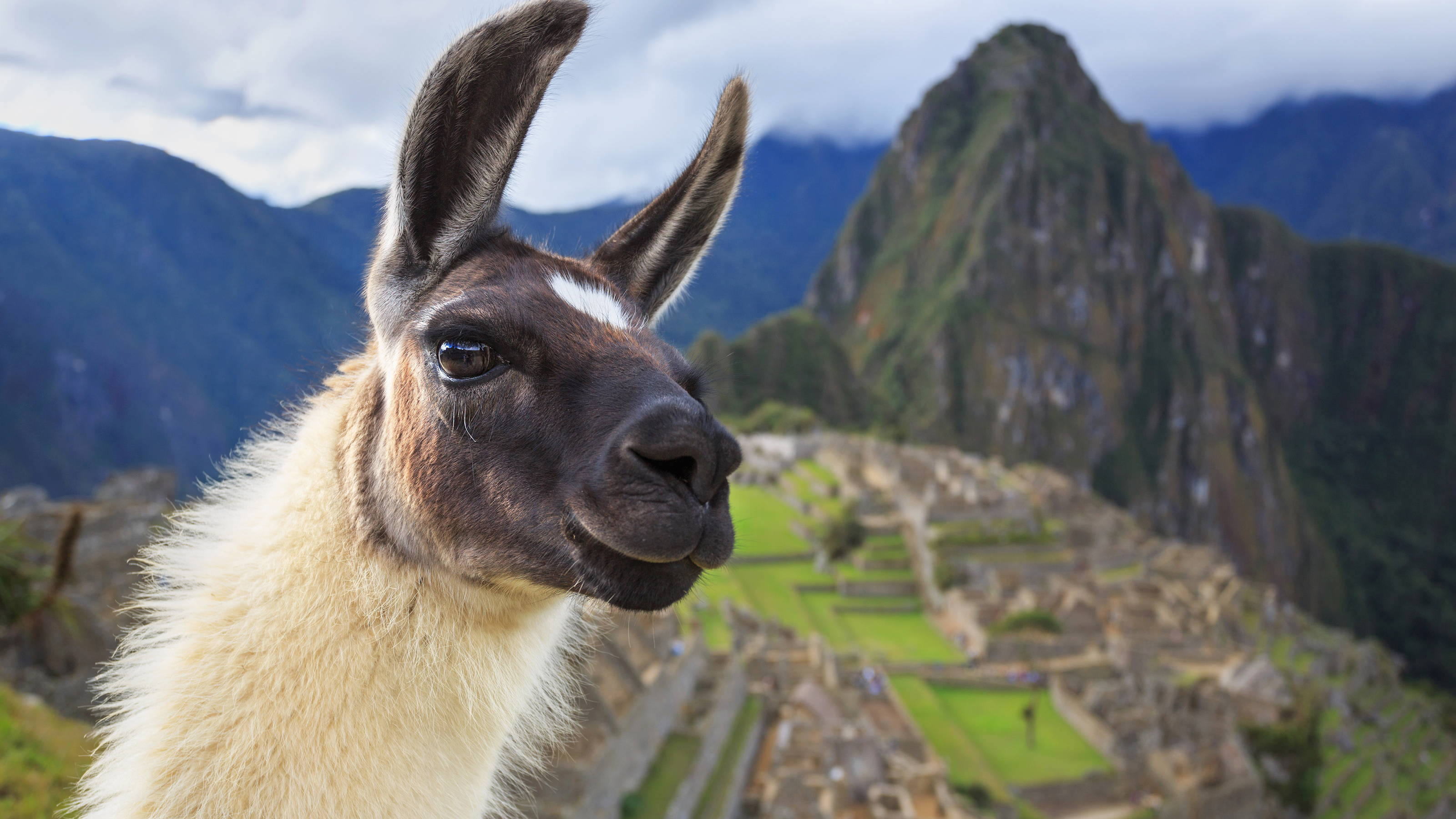Machu Picchu changed Peru — for better and for worse - Big Think