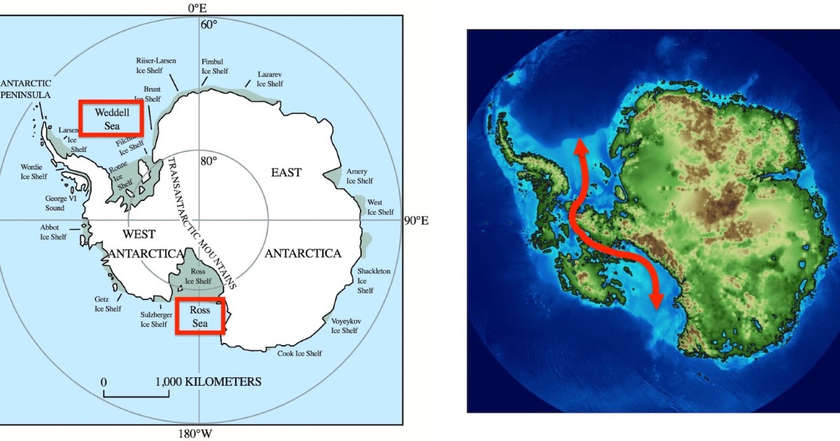 Photo of Comment l’ADN de la pieuvre suggère que l’Antarctique fondra à nouveau