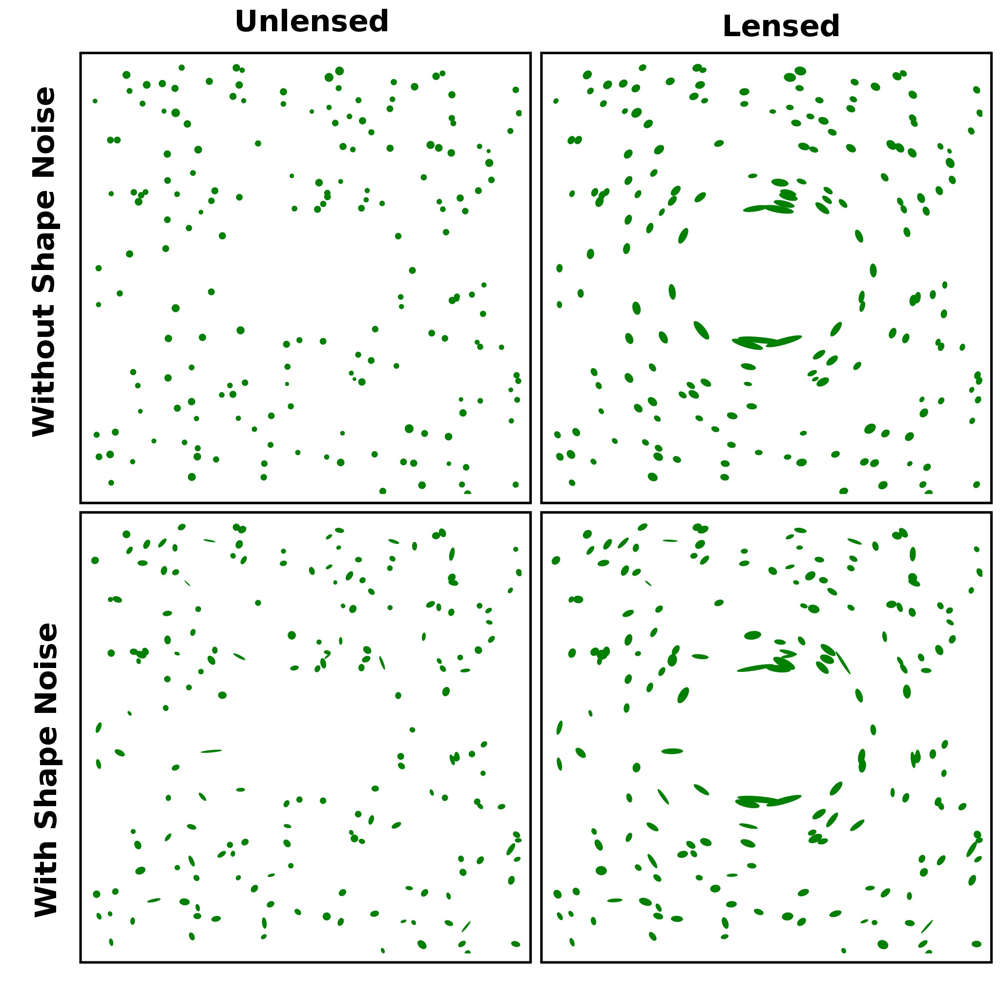 strong and weak gravitational lensing map with shape noise